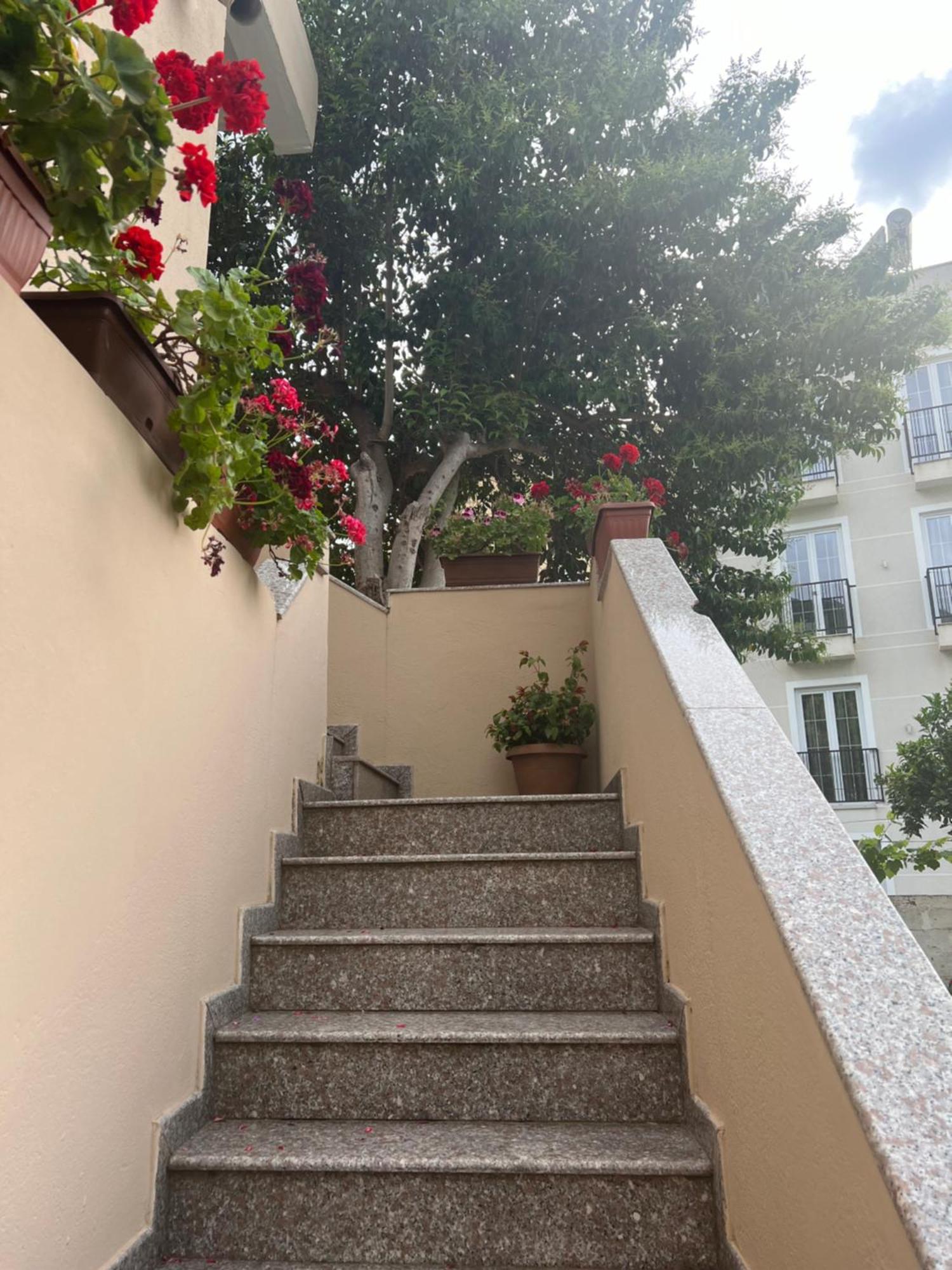 Villa Green Vlorë Exterior foto